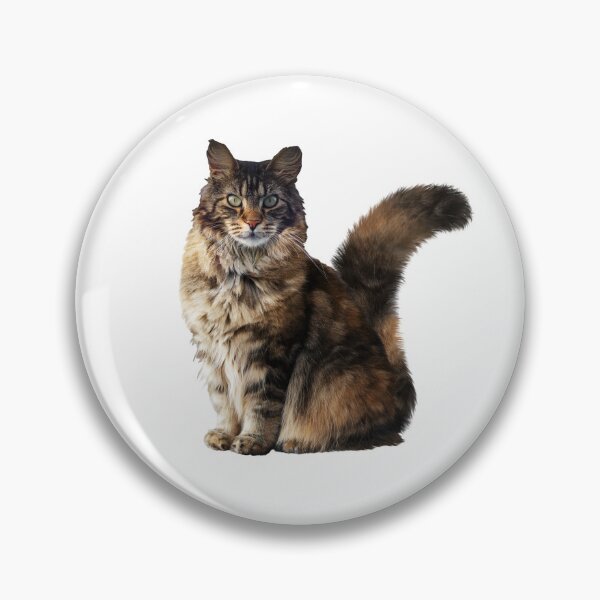 Item preview, MAINE COONE - WORLD'S LARGEST DOMESTIC CAT designed and sold by Danicus666.