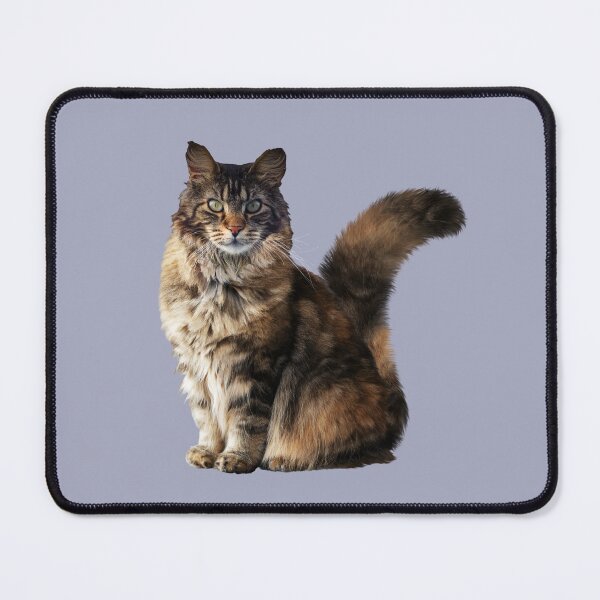 Item preview, MAINE COONE - WORLD'S LARGEST DOMESTIC CAT designed and sold by Danicus666.