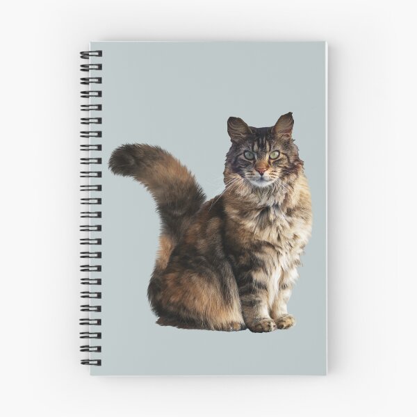 Item preview, MAINE COONE - WORLD'S LARGEST DOMESTIC CAT designed and sold by Danicus666.