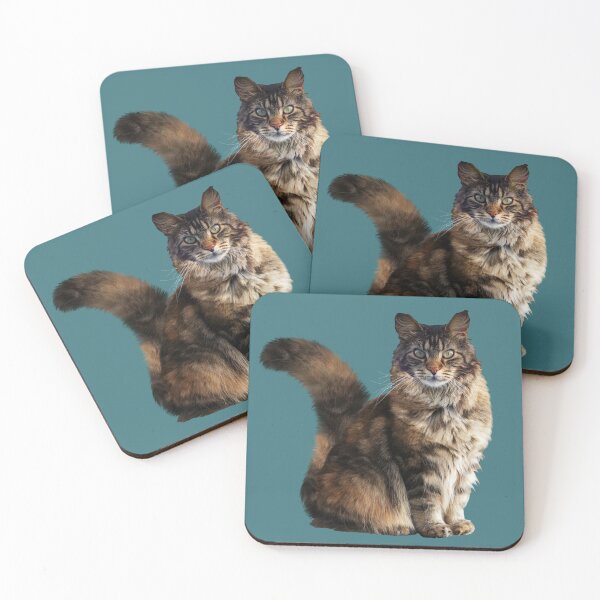 Item preview, MAINE COONE - WORLD'S LARGEST DOMESTIC CAT designed and sold by Danicus666.