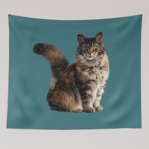 Item preview, MAINE COONE - WORLD'S LARGEST DOMESTIC CAT designed and sold by Danicus666.