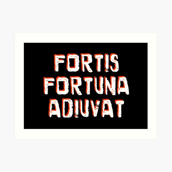 Fortes Fortuna Adiuvat – Bitfactory Gallery