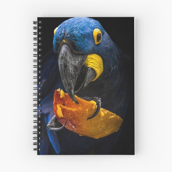 Item preview, Blue Hyacinth Macaw Portrait designed and sold by Davamandine.
