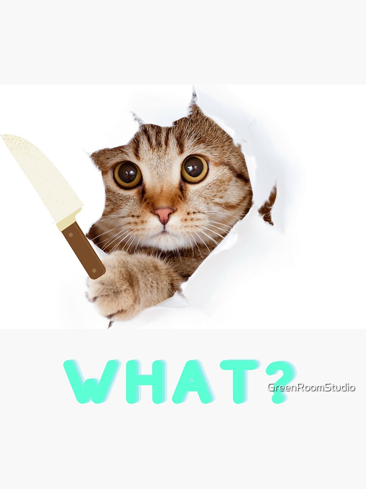 "Funny Cat Knife" Sticker by GreenRoomStudio Redbubble