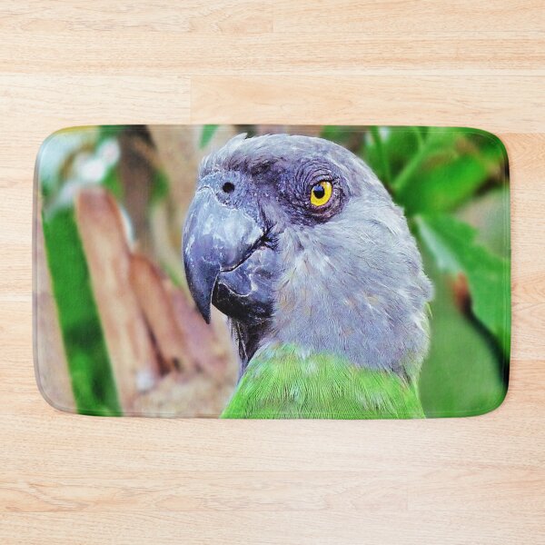 Item preview, Senegal Parrot designed and sold by ScenicViewPics.