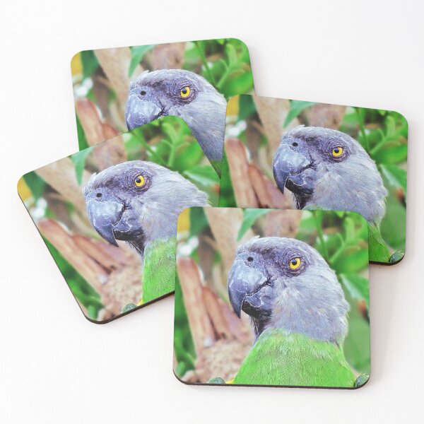 Item preview, Senegal Parrot designed and sold by ScenicViewPics.