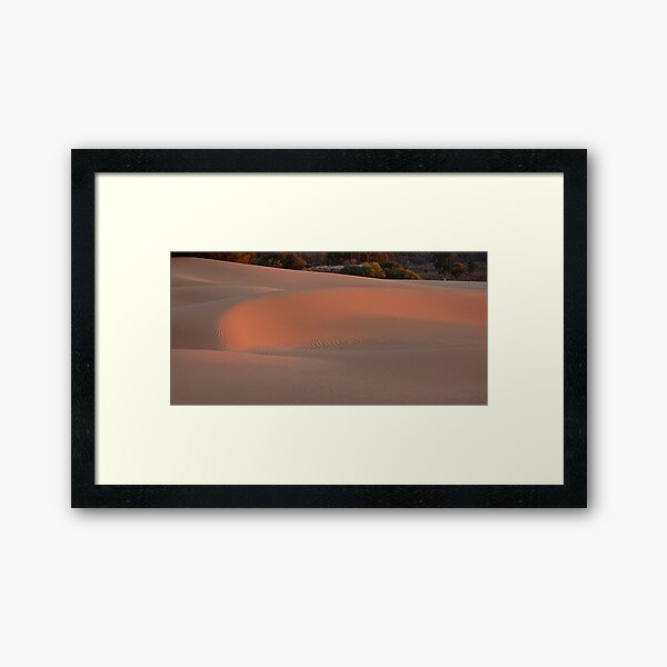 Item preview, Evening light on the dunes designed and sold by Peter Hammer.