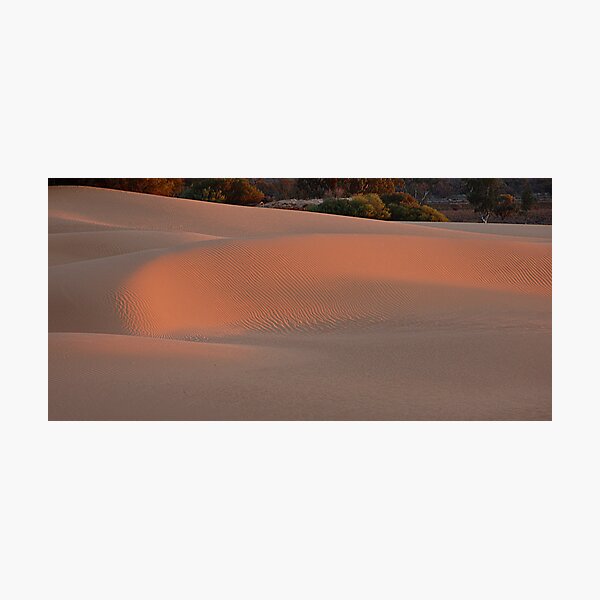 Item preview, Evening light on the dunes designed and sold by Peter Hammer.