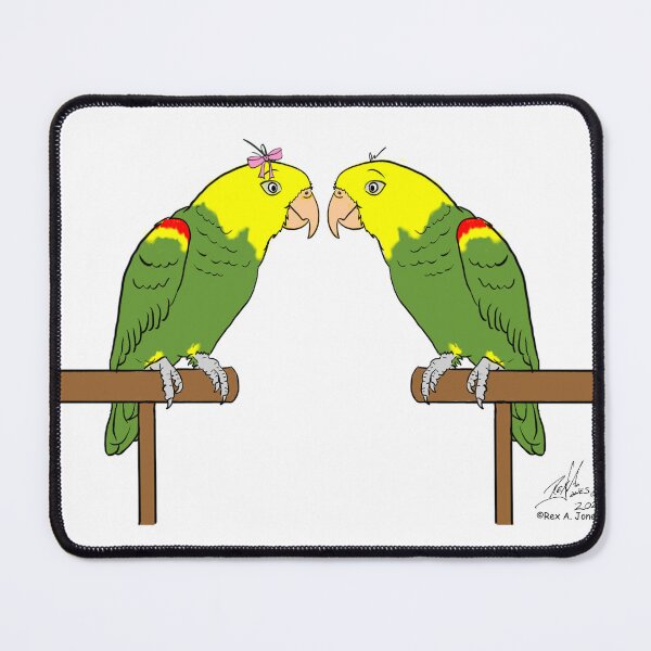Item preview, Crazy Bird Lady with double yellow-headed amazon designed and sold by Laughing Parrot Studio.