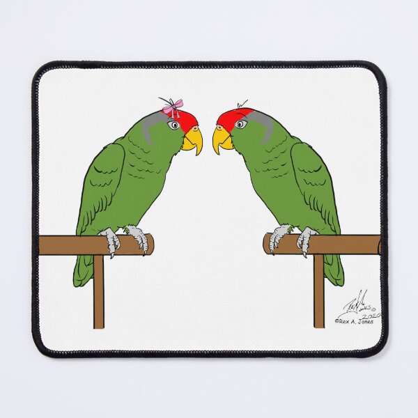 Item preview, Crazy Bird lady with Red-crowned Amazons. designed and sold by Laughing Parrot Studio.