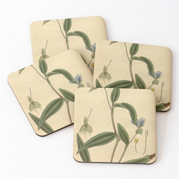 Item preview, Curtis's botanical magazine (Plate 3047) (8410378205) designed and sold by EsotericBotanic.