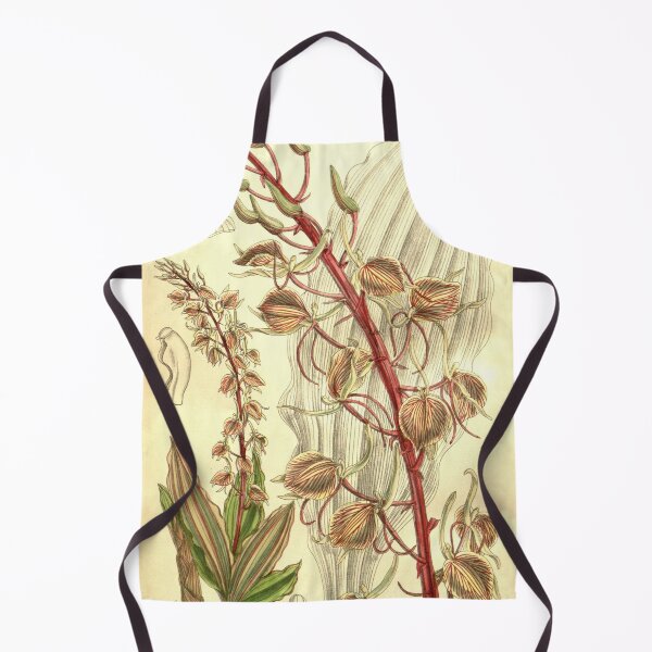 Item preview, Liparis tricallosa Curtis' 127 (Ser. 3 no. 57) pl. 7804 (1901) designed and sold by EsotericBotanic.