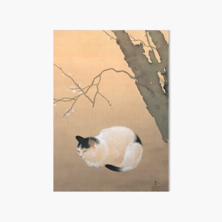 Item preview, Cat and Plum Blossoms by Hishida Shunso designed and sold by PatricianneK.
