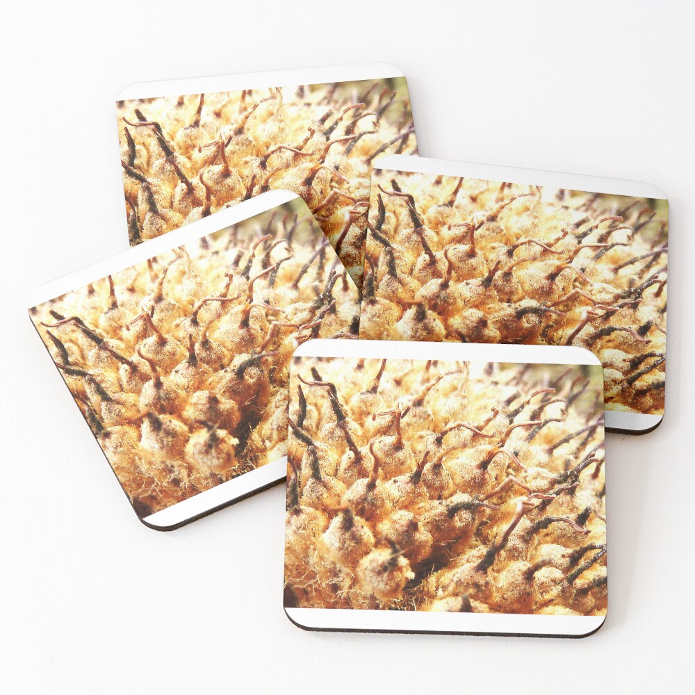 Item preview, Coasters (Set of 4) designed and sold by Mmark94.