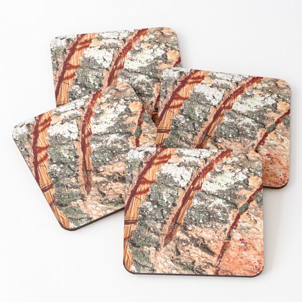 Item preview, log and sap 3. designed and sold by Nino rocha fotografia.