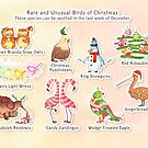 Rare and Unusual Birds of Christmas by AliciaMB