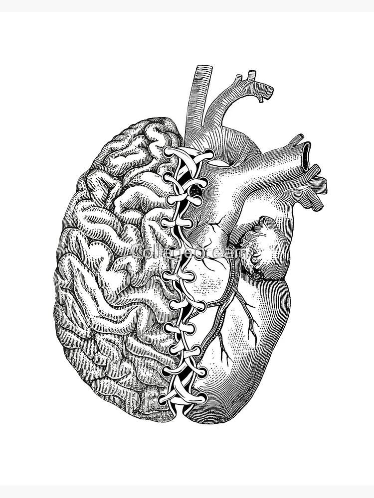 Human rubber brain with calculator heart shaped on white