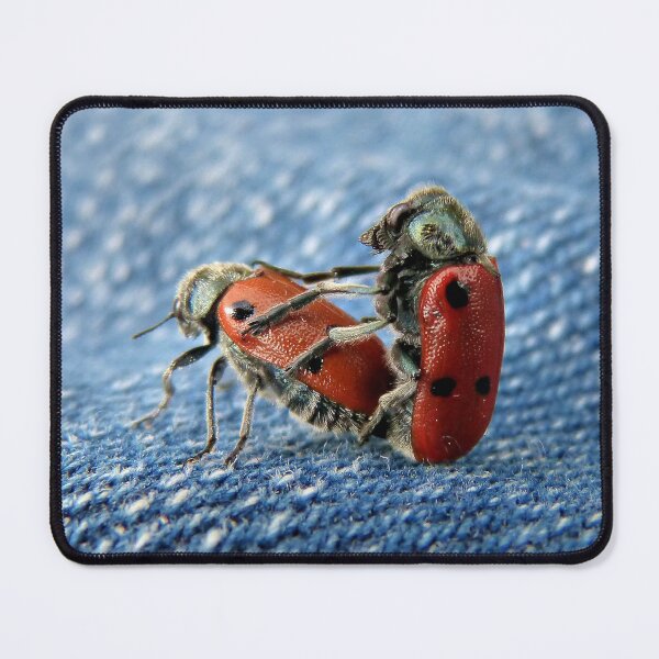 Item preview, Insects Romance designed and sold by Momo-Stores.