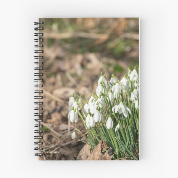 Item preview, Winter Snowdrops designed and sold by yackers1.