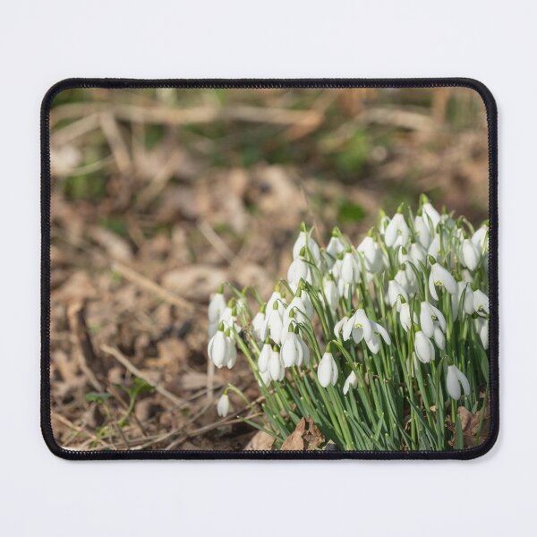 Item preview, Winter Snowdrops designed and sold by yackers1.