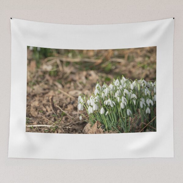 Item preview, Winter Snowdrops designed and sold by yackers1.