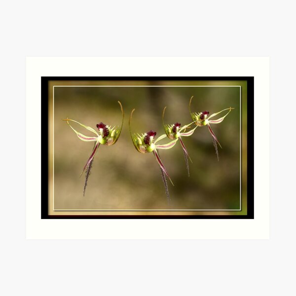 Dancing Class Art Print