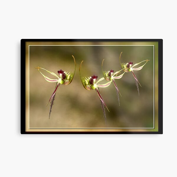 Dancing Class Metal Print