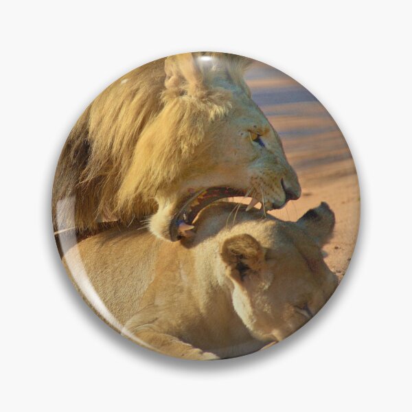 Item preview, Lions in romance designed and sold by Momo-Stores.