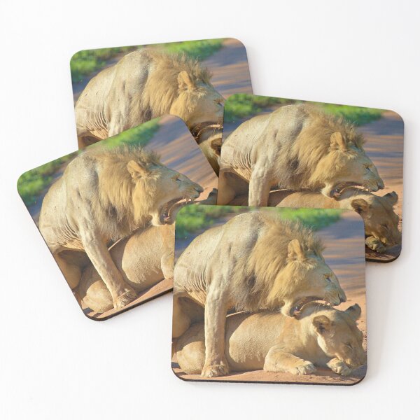Item preview, Lions in romance designed and sold by Momo-Stores.