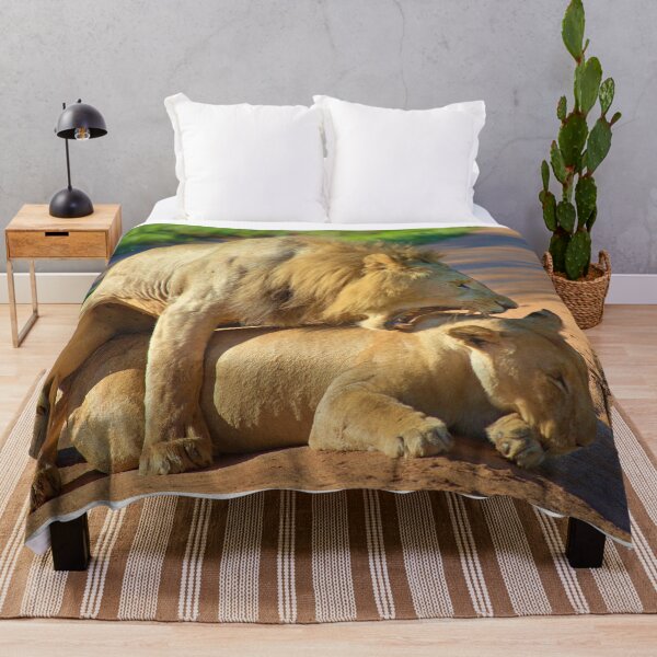 Item preview, Lions in romance designed and sold by Momo-Stores.