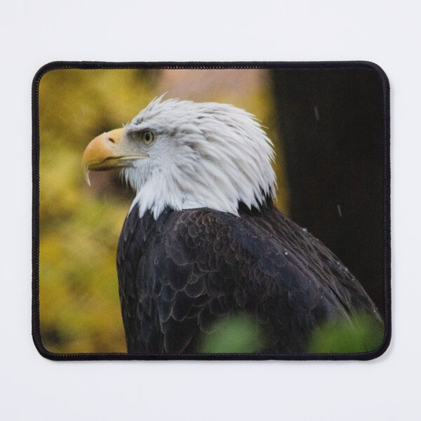 Item preview, Bald Eagle designed and sold by Grettera.