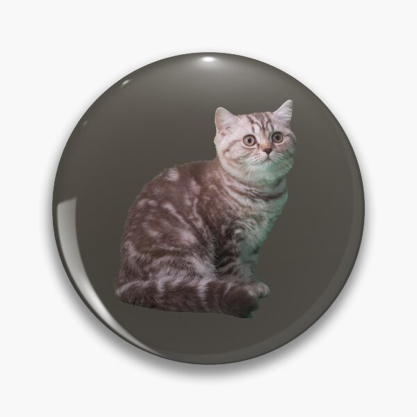 Item preview, Cat Kidston Dont Touch My Cat designed and sold by OnlyForYouNow ..