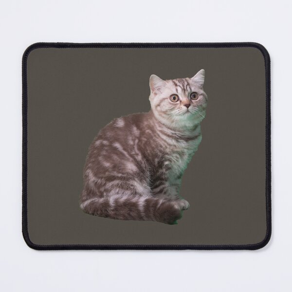 Item preview, Cat Kidston Dont Touch My Cat designed and sold by OnlyForYouNow ..