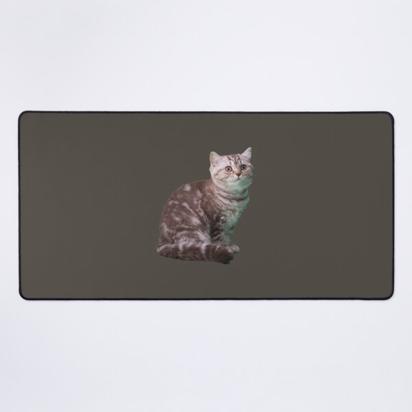 Item preview, Cat Kidston Dont Touch My Cat designed and sold by OnlyForYouNow ..
