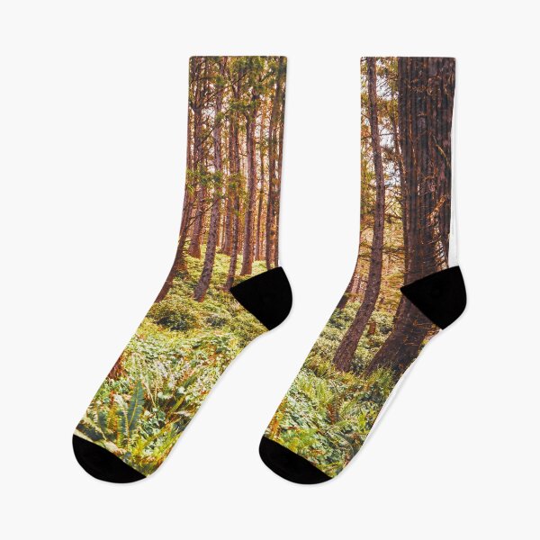 Item preview, Oregon Coast Forest | PNW | Travel Photography designed and sold by anthonylonder.