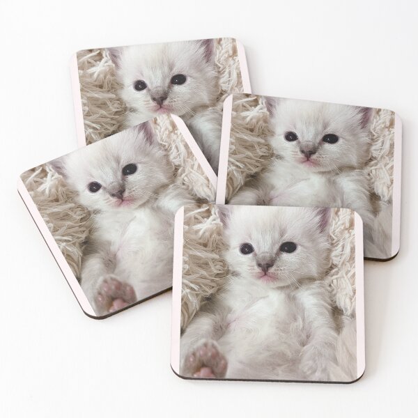 Item preview, Cute lynx ragdoll kitten  designed and sold by Fluffycat2020.