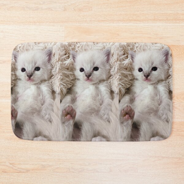 Item preview, Cute lynx ragdoll kitten  designed and sold by Fluffycat2020.
