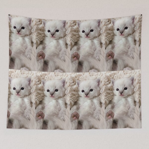 Item preview, Cute lynx ragdoll kitten  designed and sold by Fluffycat2020.