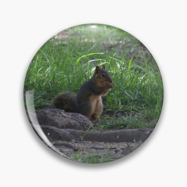 Item preview, Squirrel Eating designed and sold by Krystina Starks.