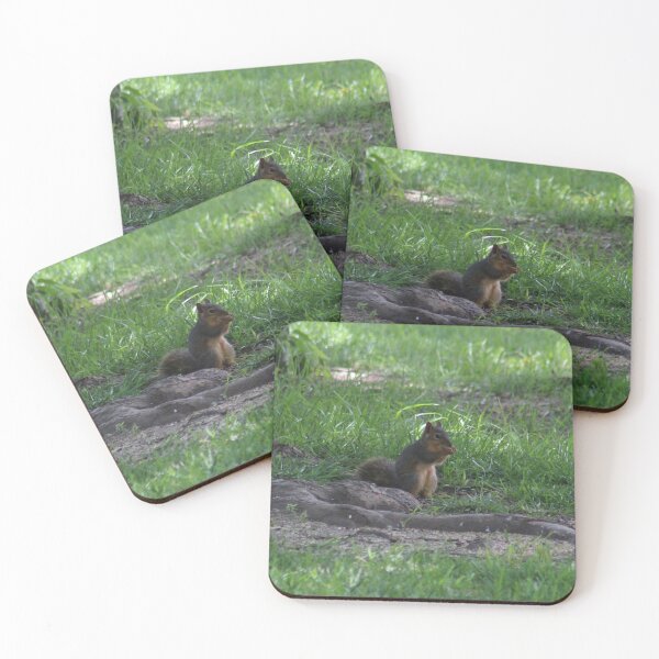 Item preview, Squirrel Eating designed and sold by Krystina Starks.