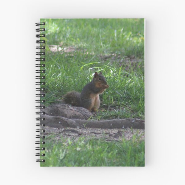 Item preview, Squirrel Eating designed and sold by Krystina Starks.