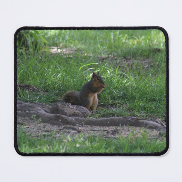 Item preview, Squirrel Eating designed and sold by Krystina Starks.