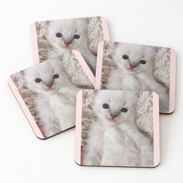 Item preview, Cute lynx ragdoll kitten  designed and sold by Fluffycat2020.