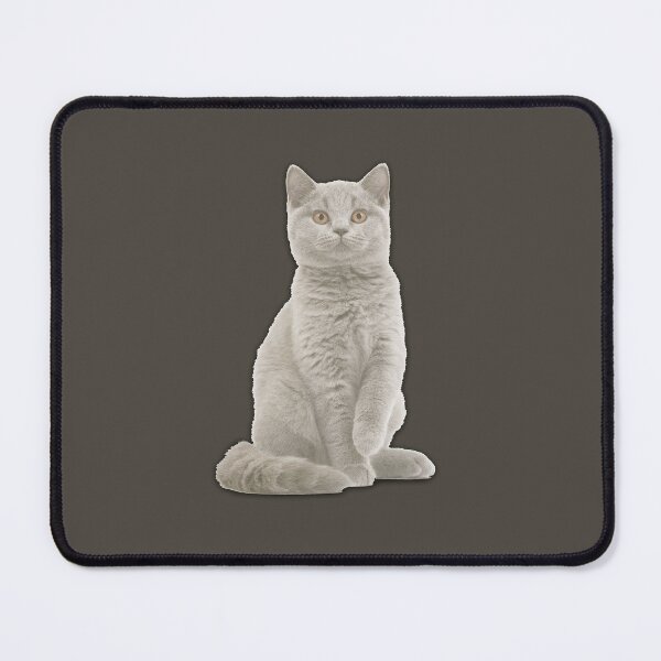 Item preview, Cat Kidston Dont Touch My Cat designed and sold by OnlyForYouNow ..