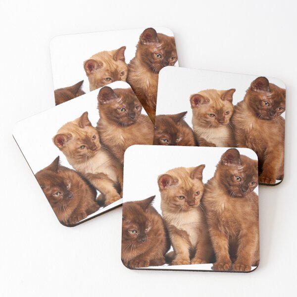Item preview, cute cats looking at something designed and sold by Adam-the-maker.