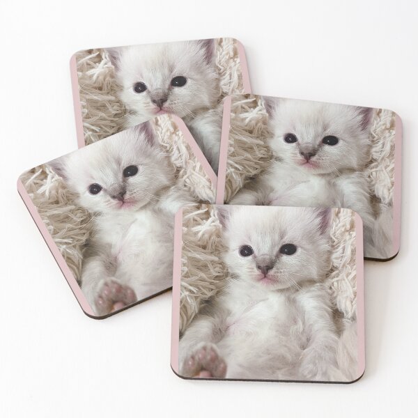 Item preview, Cute lynx ragdoll kitten  designed and sold by Fluffycat2020.