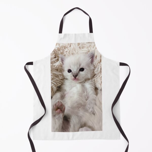 Item preview, Cute lynx ragdoll kitten  designed and sold by Fluffycat2020.