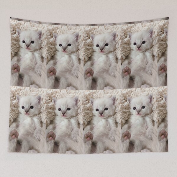 Item preview, Cute lynx ragdoll kitten  designed and sold by Fluffycat2020.