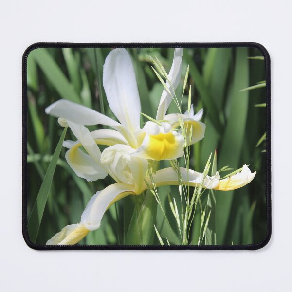 Item preview, Oriental Iris designed and sold by Krystina Starks.