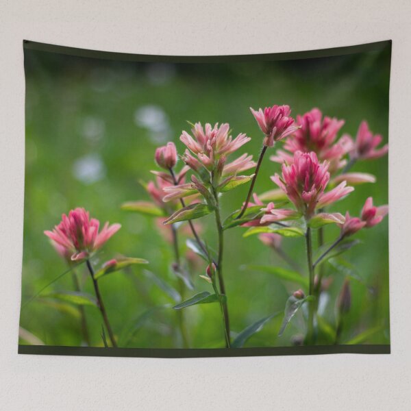Item preview,  The Wild Paintbrush designed and sold by MelBolin.